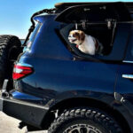 Emuwing Gullwing Window for Y62 Nissan Patrol